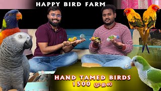 ரூ1500 முதல் Hand Tamed Birds for Sale | Lowest Price | Exotic Hand Feeding Birds