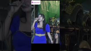Download Lagu Pamer Bojo MP3