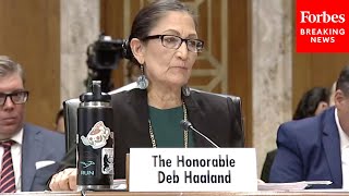 Interior Secretary Deb Haaland Testifies Before The Senate Appropriations Committee