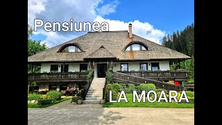 La Moară - A Fairy-Tale Guesthouse In The Heart Of Bucovinaromania
