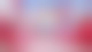 New K-scent by Soklin Korean Camelia Series 2022