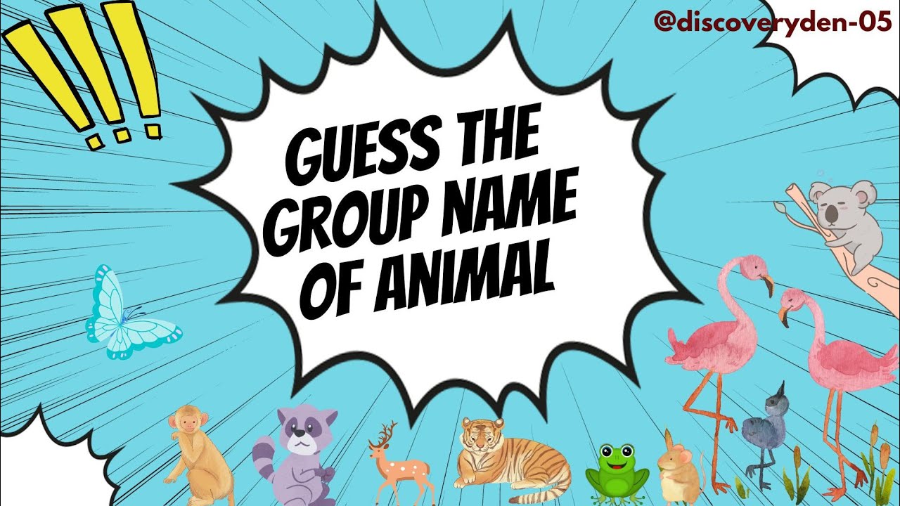 📚 Guess the Group Name of Animals 🐾 | Fun Animal Quiz for Kids & Adults ...