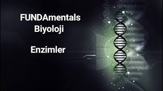 Enzimler