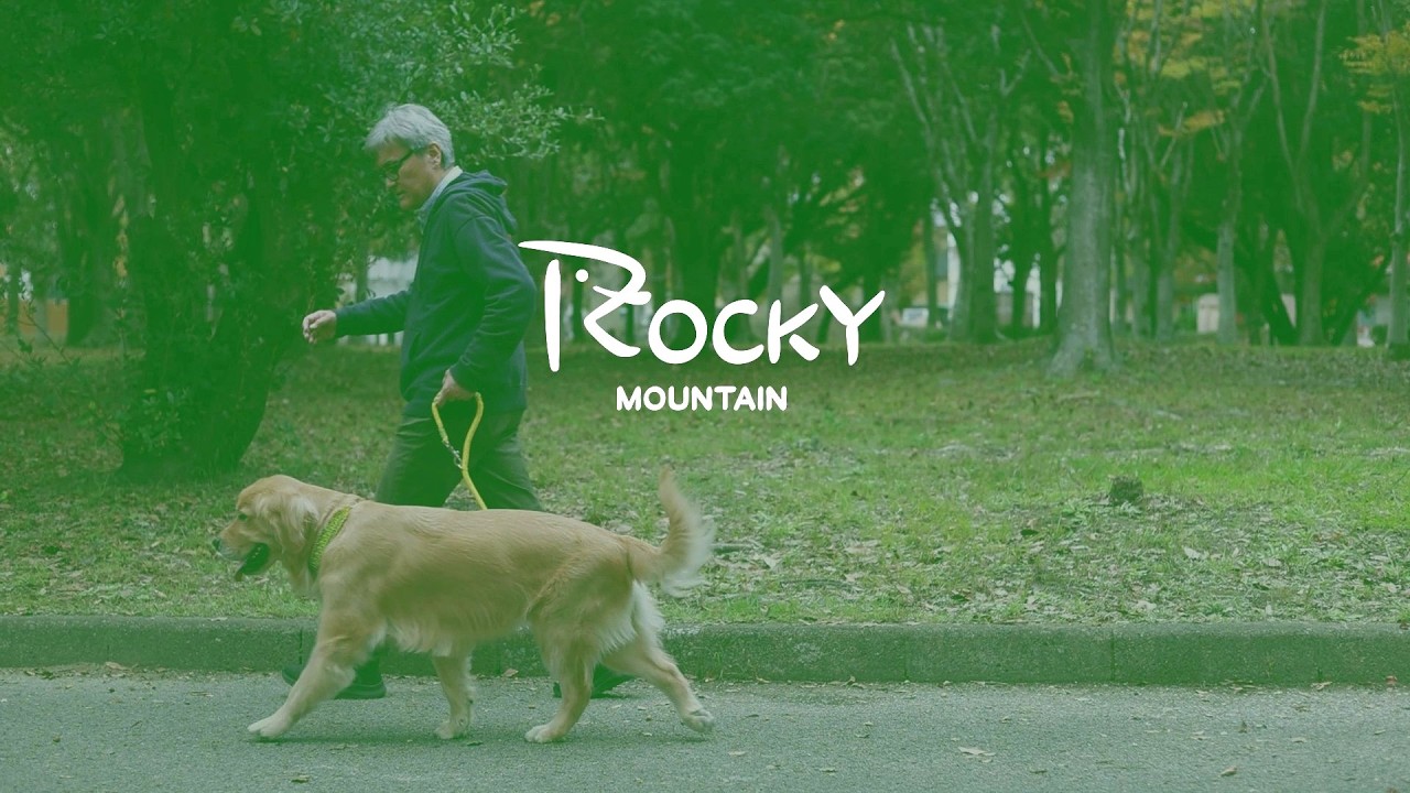 トムキャット ロッキーマウンテン チキン ドッグフード 3kg×3袋 | 犬