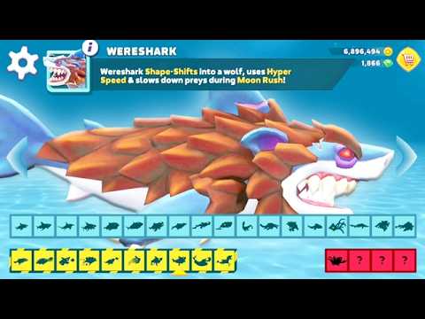 Hungry Shark Evolution - Wereshark Max Level