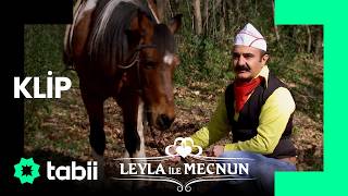 Kelle Avcısı Erdal Baggal... Leyla Ile Mecnun 86. Bölüm