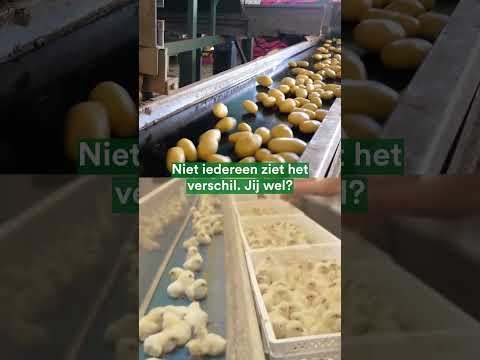 Niet iedereen ziet
