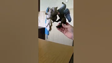 Клювокрыл унес пёсика в гнездо #клювокрыл #песик
