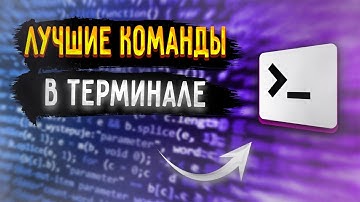 Топ команд в терминале | Работа с файлами | Часть 1 [Junior]