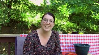 Kitchen Scrap Garden