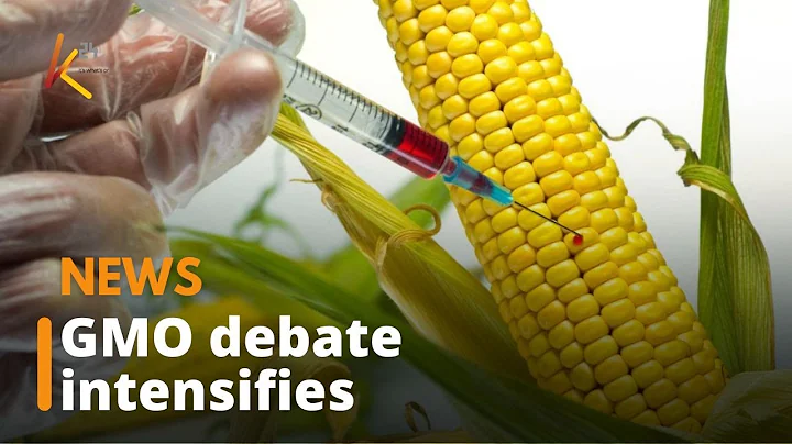 GMO debate on the nutritional value of GMO foods and those grown by organic means