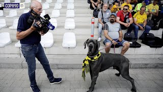 Photographing the Maddest League in Europe