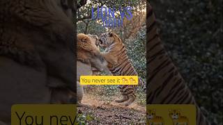 Lion vs Tiger: The 1,000 PSI Secret 🤯 #shorts