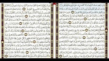 مسجد أبو ذرالغفاري صلاة التراويح رمضان 1437الشيخ بلال صاري  سورة البقرة  الآية106إلى الآية141