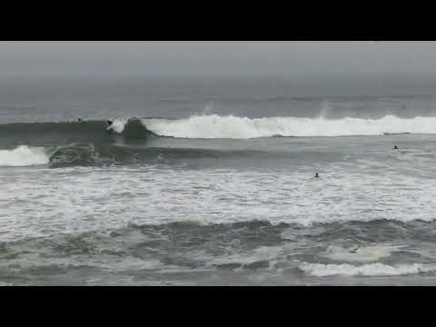 KelpSurfer Kronicles - Sharp Park Home break