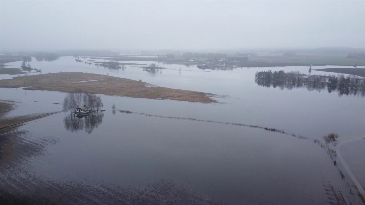 Flooding Kokemäki River