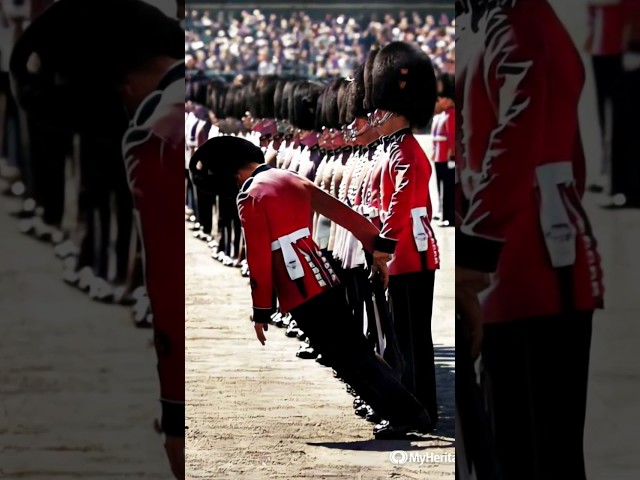 Royal Guards Must Follow Proper Fainting Protocol class=