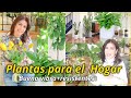 PLANTAS DE INTERIOR QUE NECESITAS RESISTENTES y BELLAS PARA TU HOGAR! PASE DE MANO NEGRA 😈 A VERDE 🌱