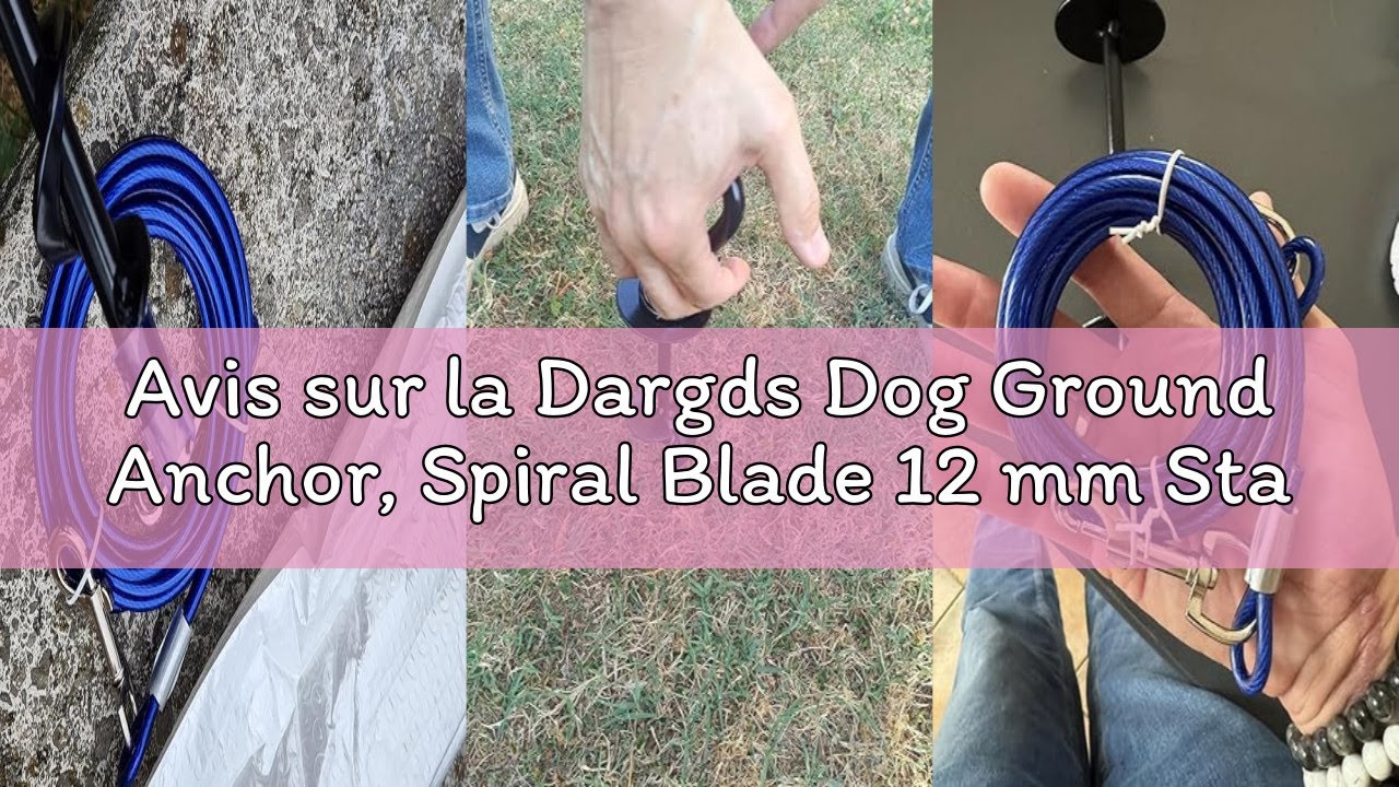 Avis sur la Dargds Dog Ground Anchor, Spiral Blade 12 mm Stake Anchor for Dogs up to 200 lbs for Cam