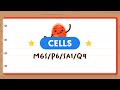 Understanding Plant Cell Functions