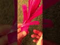 'Turned simple paper into a beautiful DIY lily flower✨🌿#DIY decor#handmadeflower