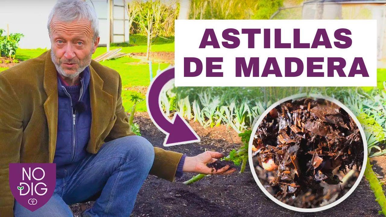 Desbloquea el potencial de las astillas: 5 usos creativos para aprovecharlas