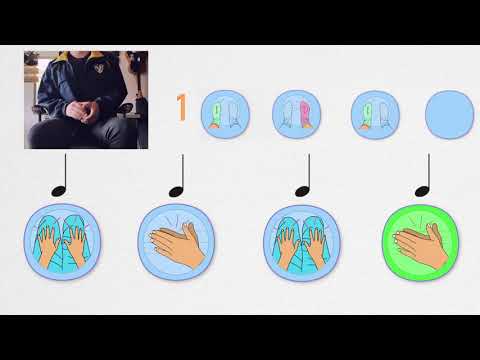 Vídeo: Quin esquema de desballestament de la caldera?