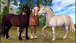 😍Star Stable-Három új cukiság😍[Szerdai Frissítés]😍