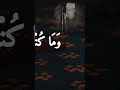 الشيخ محمود محمد رمضان مقام الكرد سورة آل عمران اكسبلور تلاوات