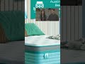 Twinkle Bed