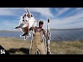 FIRST Hunt With My NEW Shotgun was a SUCCESS!!! | 20 GAUGE Snow Goose Hunting 2021