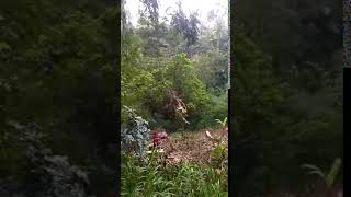 VID 20200209 WA0000