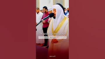 تلاوة جميلة❤️ الشيخ  #أحمد_النفيس من سوره يونس