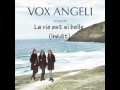 Vox Angeli - Irlande - La vie est si belle