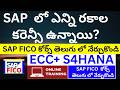 SAP FICO training in Telugu // SAP లో ఎన్ని రకాల కరెన్సీ ఉన్నాయి? SAP FICO Course in Telugu