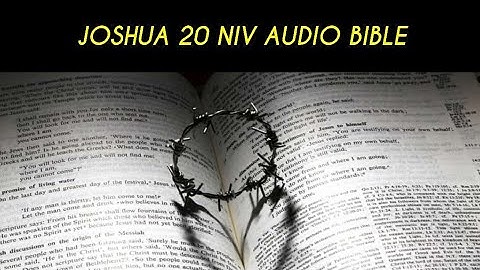JOSHUA 20 NIV AUDIO BIBLE (with text)