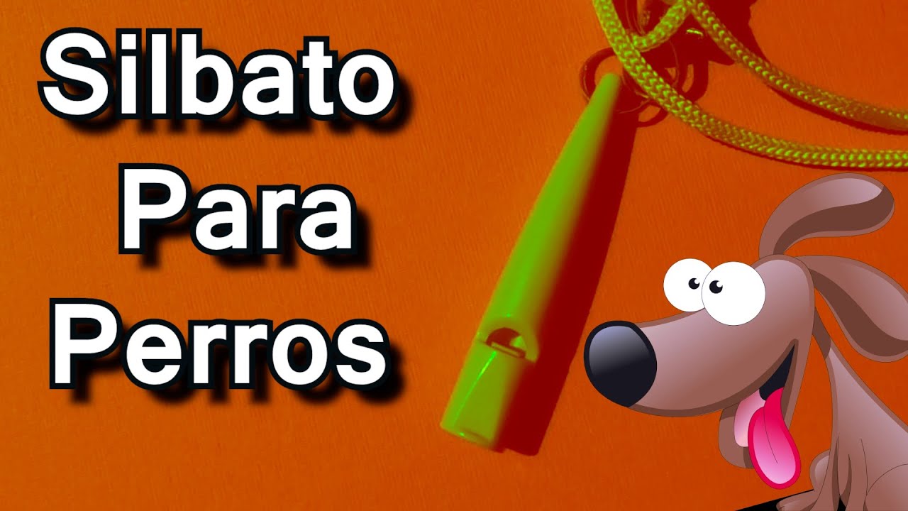 Silbato para perros Sonido ultrasónico para perros 🐶 🐕 Sonido para PERROS  🐶 🐕 