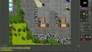 tibia hack