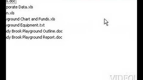 Video Professor: Importing Charts in Excel® Video Tutorial