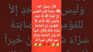 قَالَ رَسُولُ الله ﷺ: عَجَباً لأمْرِ الْمُؤْمِنِ إِنَّ أَمْرَهُ كُلَّهُ لَهُ خَيْرٌ، ....