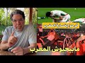 محمد ناصر انصدمت لما شفت كمية الفرحة من العرب بخسارة المغرب أمام السنغال 