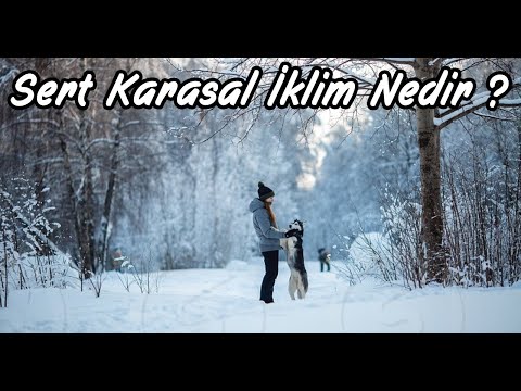 Video: Sert iklim nedir?