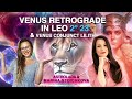 Venus Retrograde in Leo 2023: Opportunity to Expand and Push BEYOND your DREAMS! Shadow Integration!