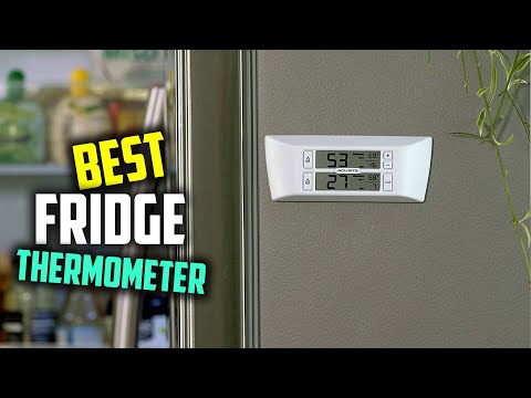 The 7 Best Fridge Thermometers