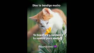 Promesas hermosas ❤️