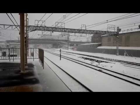 【大雪！】JR常磐線 E531系 馬橋駅 通過  [(Heavy Snow) JR E531 series passing (JR Joban Line)]
