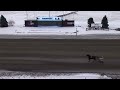 Woodbine Mohawk Park Qualifiers - Friday, February 16, 2024