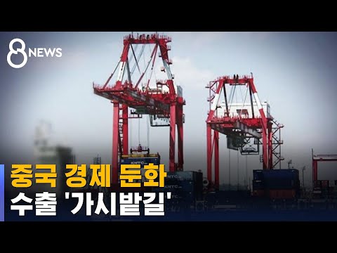 중국 경제 둔화에 수출 '가시밭길' / SBS