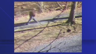 Man wanted after chasing woman, assaulting another on Canal Towpath Trail