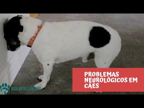 Vídeo: Doença de movimento em cães
